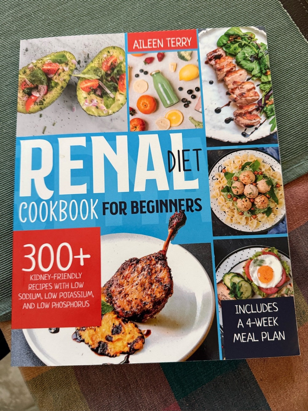 Renal Diet Cookbook